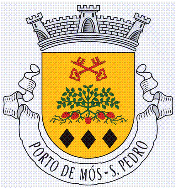 Freguesia de S. Pedro promove cursos de formação financiada