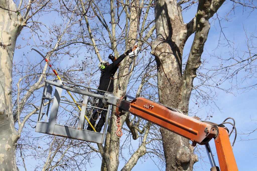 Fundação Serralves preserva espaços verdes urbanos