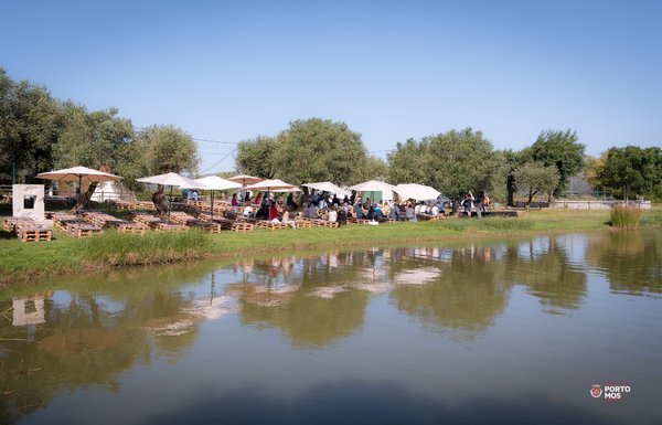 dsc_1976
