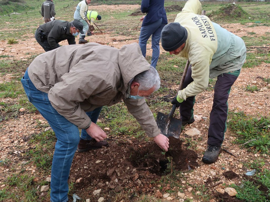 Plantação de árvores e Sensibilização ao combate à vespa asiática em Serro Ventoso