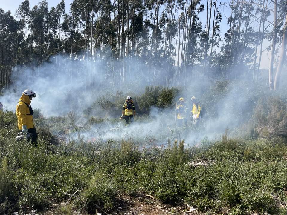 Execução de Mosaicos de Gestão de Combustível, com recurso a fogo controlado