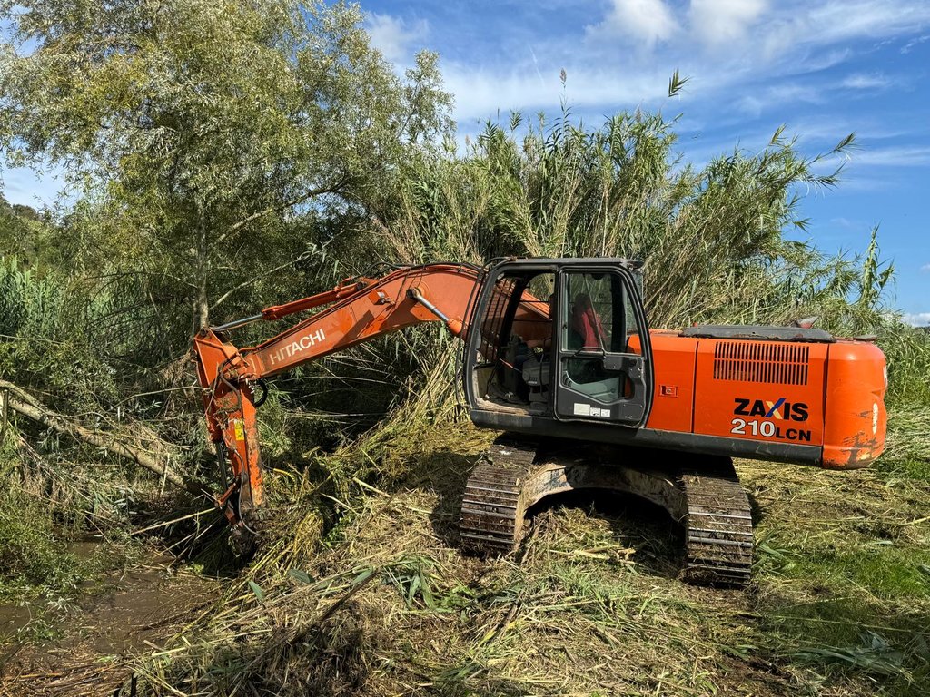 Rio Lena, já arrancaram trabalhos de limpeza