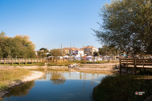 festival_viver_2281
