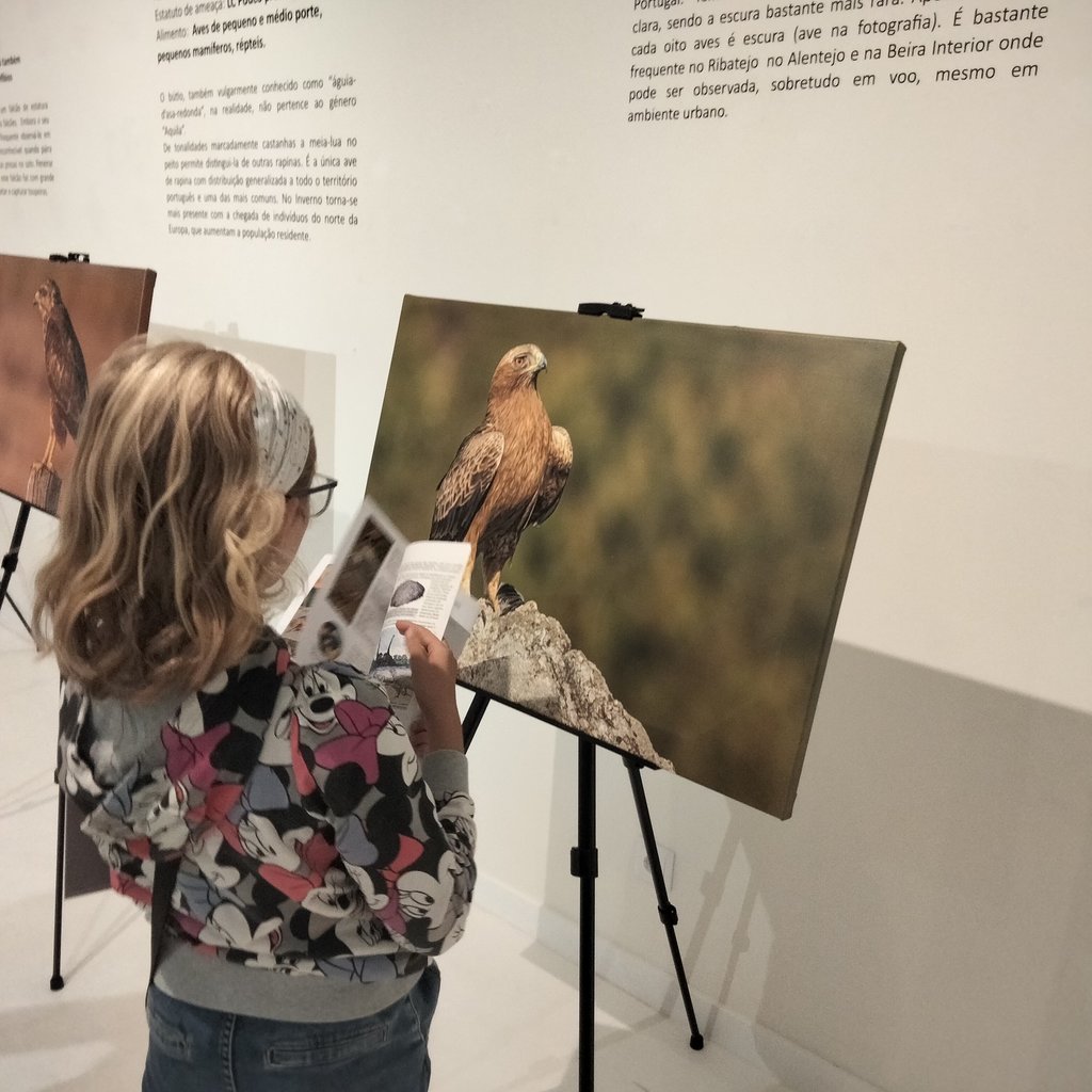 Viver o Património, a Arte e a Ciência