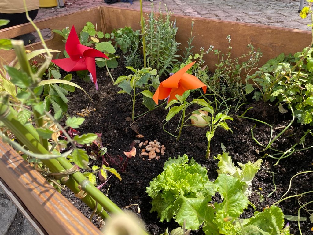 Vamos (voltar) a pôr as mãos na terra!