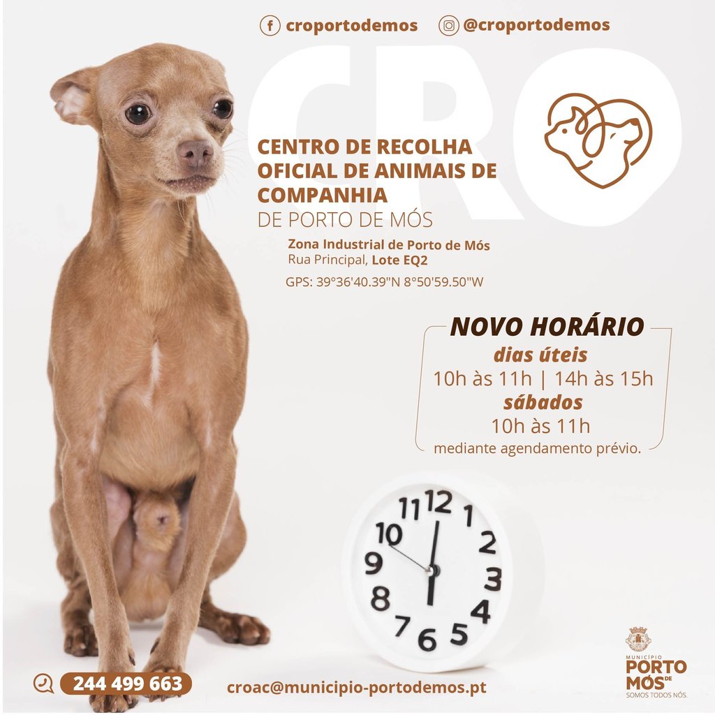 Novo horário do Centro de Recolha Oficial de Animais de Companhia de Porto de Mós