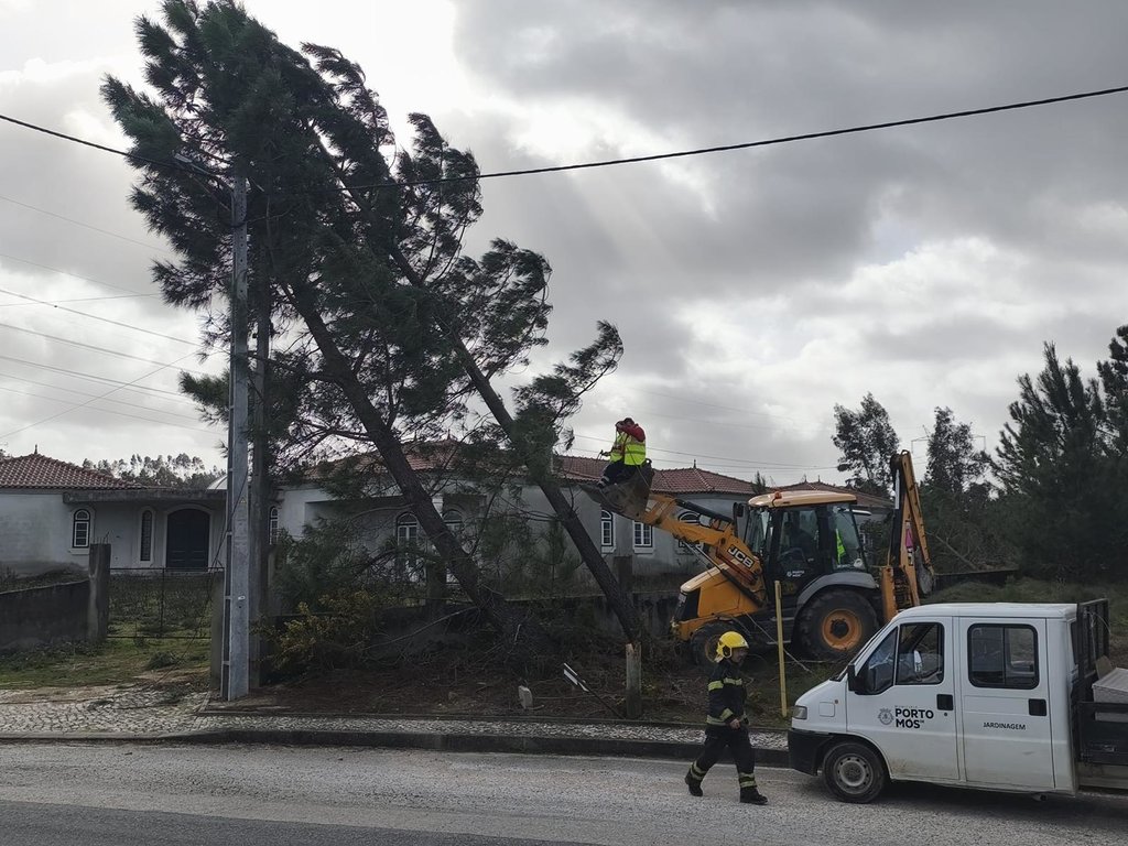 Resoluções do Concelho de Ministros - Tempestade Kristin