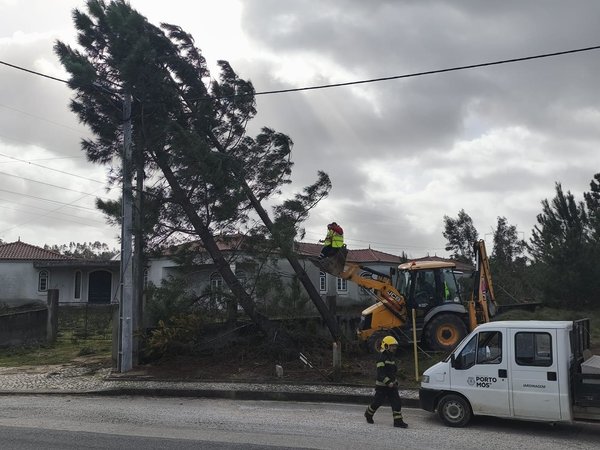 852fbb76_0fb6_4afc_afd0_2e591bc1757d