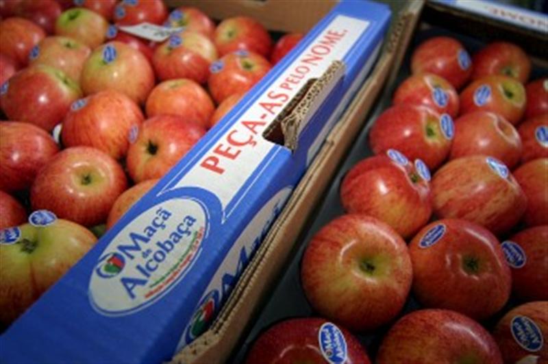 "Maçã de Alcobaça" nomeada como um dos melhores casos de exemplo no Mercator da Língua Portuguesa