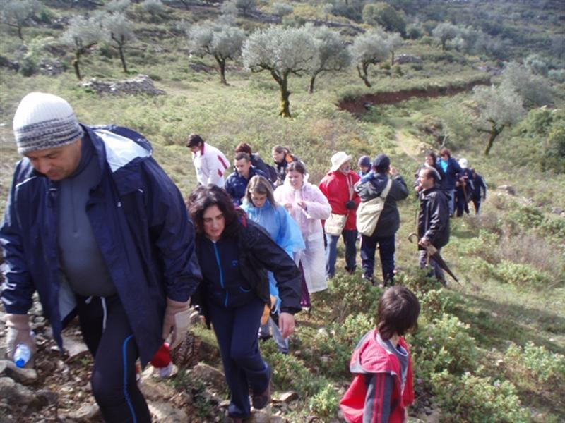 Tokandar em Alqueidão da Serra