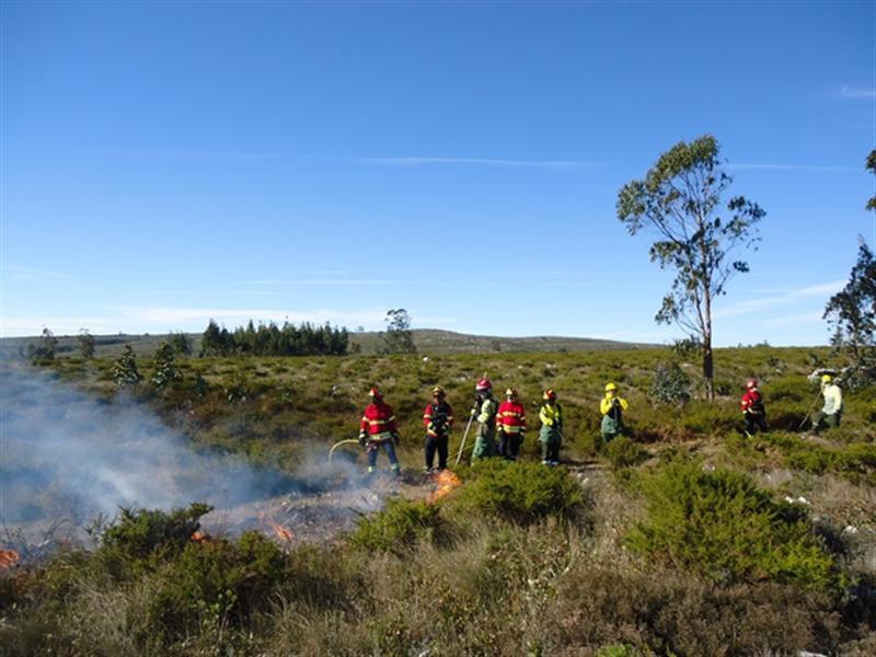 Município investe, atempadamente, na prevenção dos incêndios