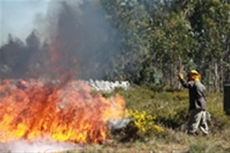 Ação de fogo controlado prepara florestas para o verão