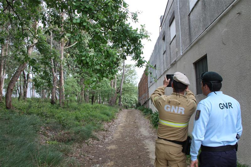 GNR promove ações de sensibilzação "OPERAÇÃO FLORESTA PROTEGIDA 2018"