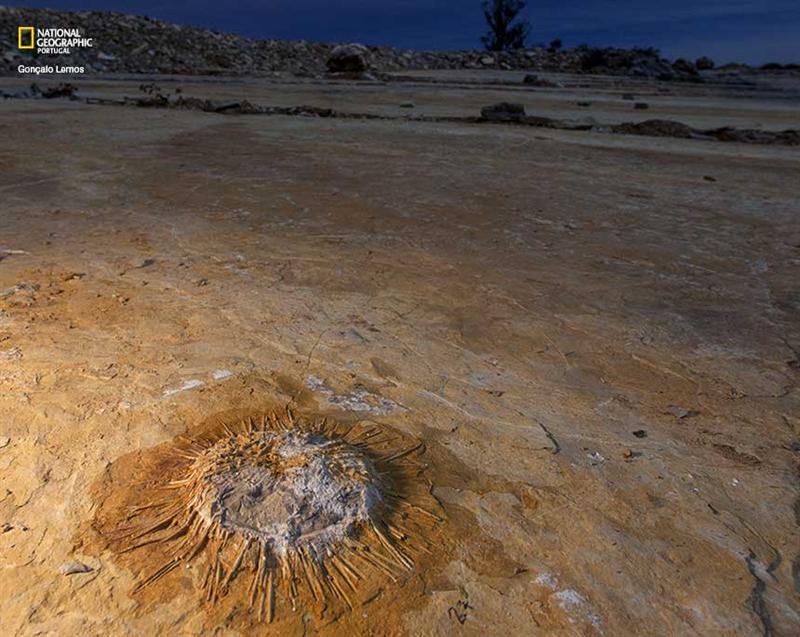 Praia Jurássica em destaque na National Geographic