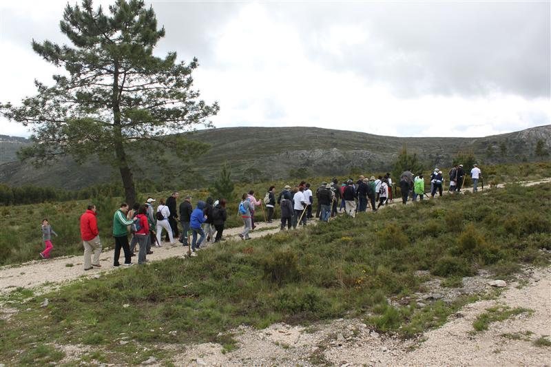 S. Silvestre recebe Tokandar