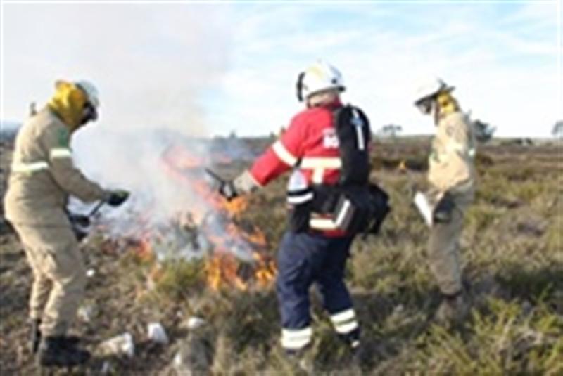 Equipa de formandos executa fogo de prevenção