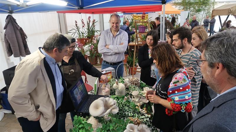 Feira das Sementes e Plantas em Porto de Mós