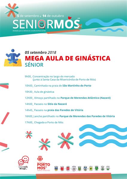 Mega Aula de Ginástica Sénior