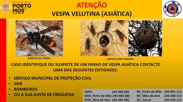 aviso_vespa_velutina