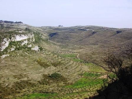 Percurso Pedestre Castelejo - Alvados