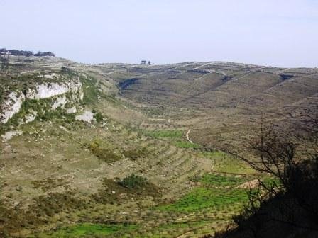 PR03 - Castelejo, Alvados e São Bento 