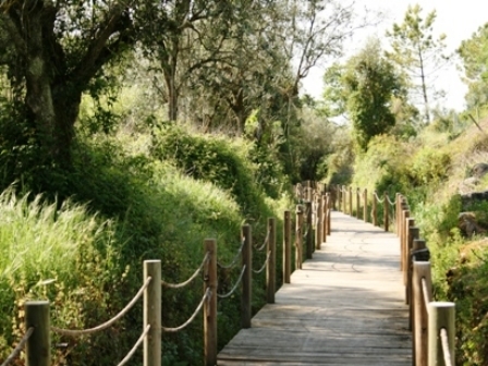 Percurso Pedestre Trilho da Fonte Falsa - Juncal