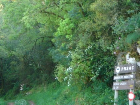 Percurso Pedestre Serra Galega - S. João Baptista