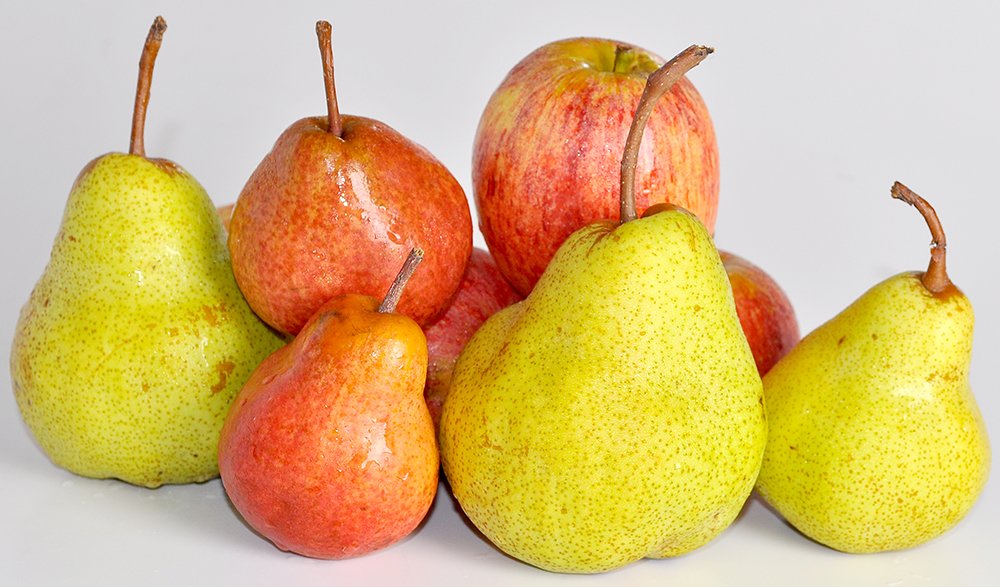 Distribuição fruta escolar