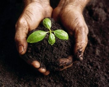 Ação de Sensibilização de Compostagem Doméstica