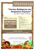 Workshop de Hortas Biologicas em Pequenos Espaços