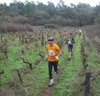 Cross da Laminha 2013
