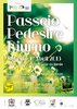 Passeio Pedestre Diurno