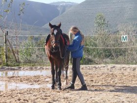 Curso de Auxiliares de Equitação Terapeutica