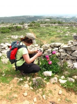 À Descoberta de Orquídeas Silvestres no PNSAC