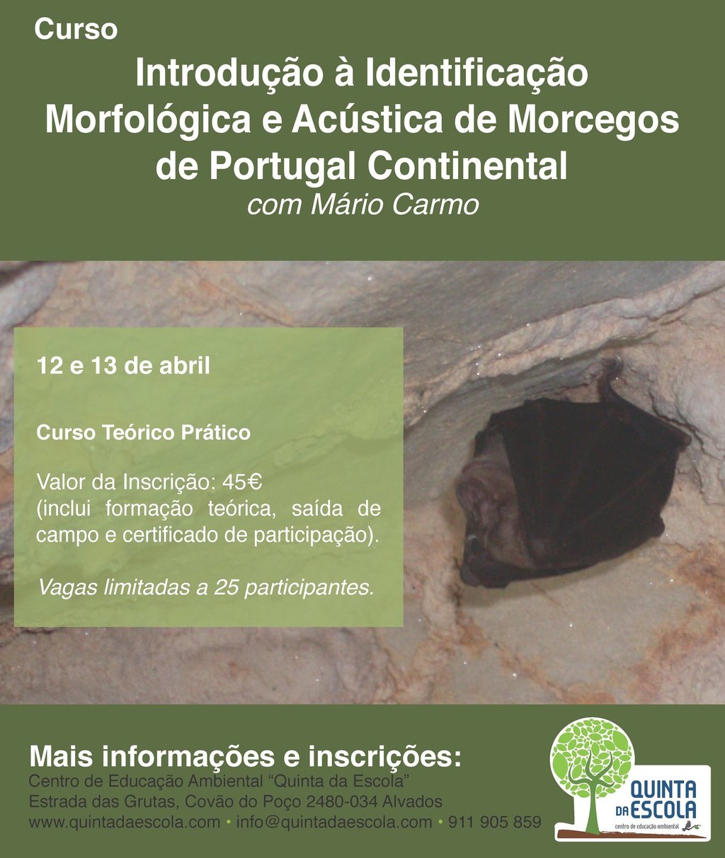 Curso de Introdução à Identificação Morfológica e Acustica de Morcegos de Portugal Continental