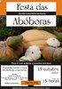 Festa das Abóboras