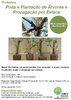 Workshop Poda e Plantação de Árvores e Propagação por Estaca