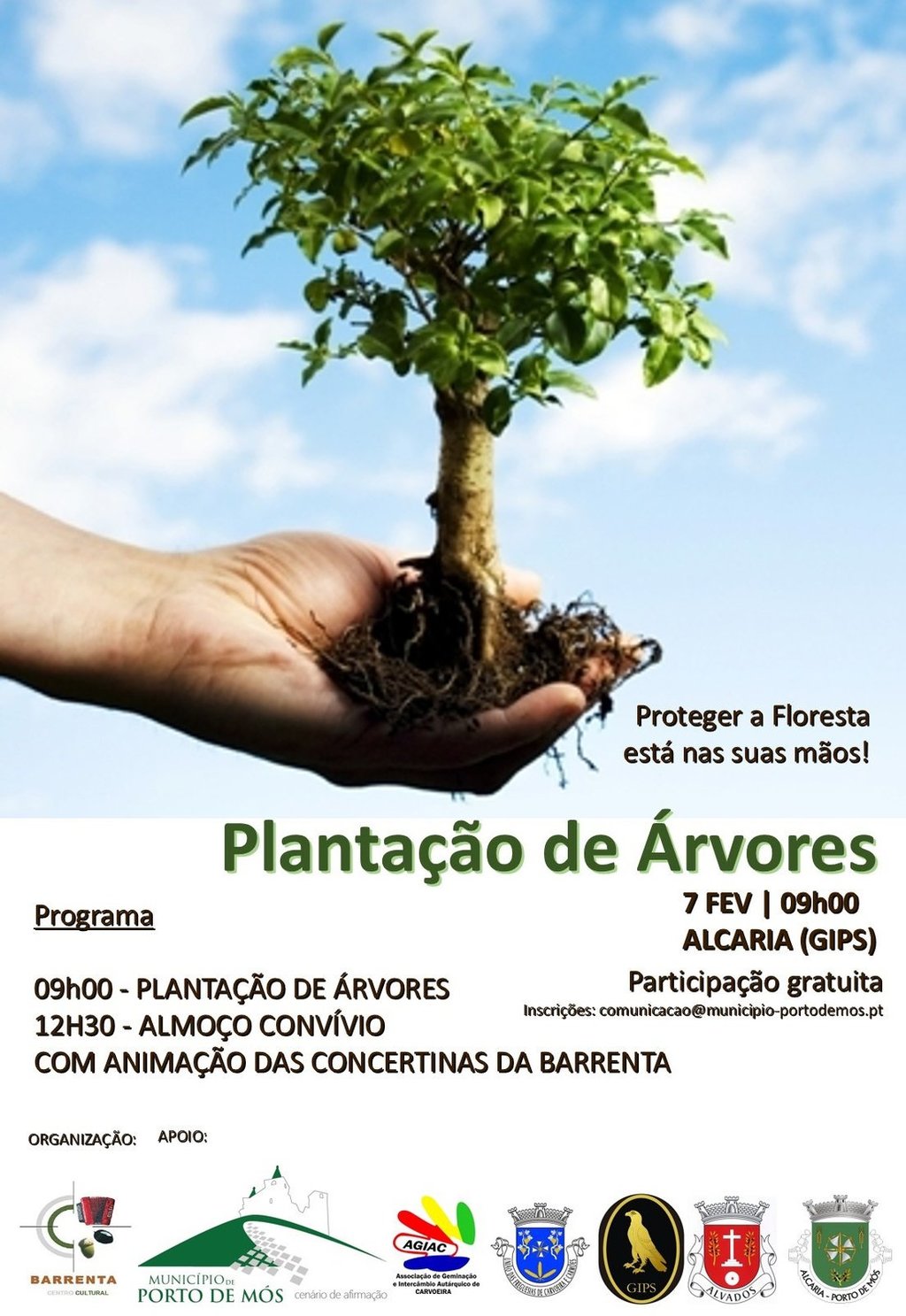 Plantação de Árvores