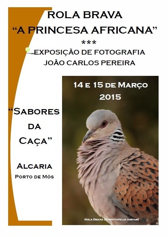 Exposição Fotográfica "Rola Brava - Princesa Africana"