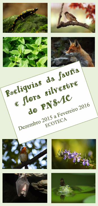 Esposição "Reliquias Fauna e Flora do PNSAC"