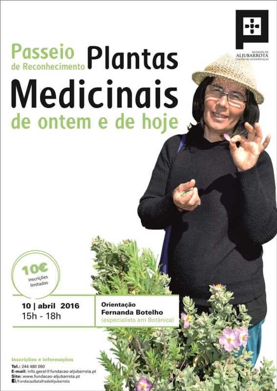 Passeio de reconhecimento de plantas medicinais