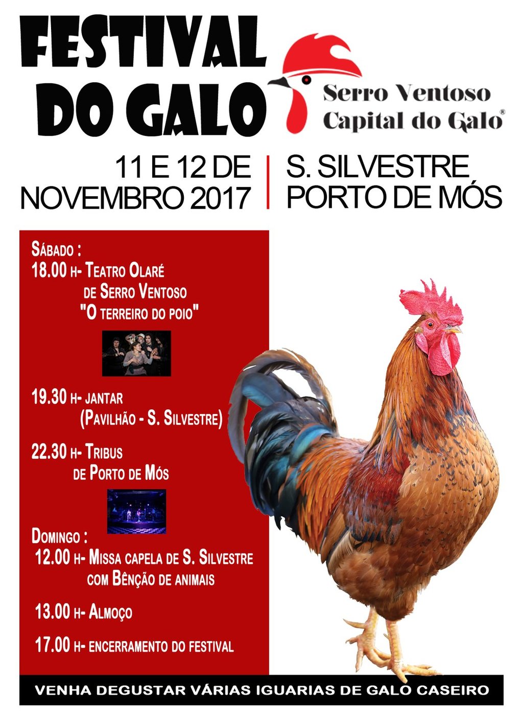 Festival do Galo