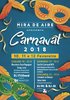 Carnaval de Mira de Aire