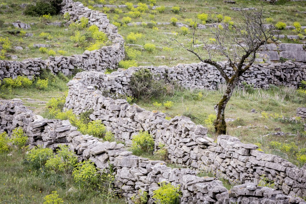 Categoria ARTEFACTOS: Muros de Pedra Seca do Concelho de Porto de Mós