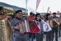 Categoria MÚSICAS E DANÇA: Concertinas da Barrenta